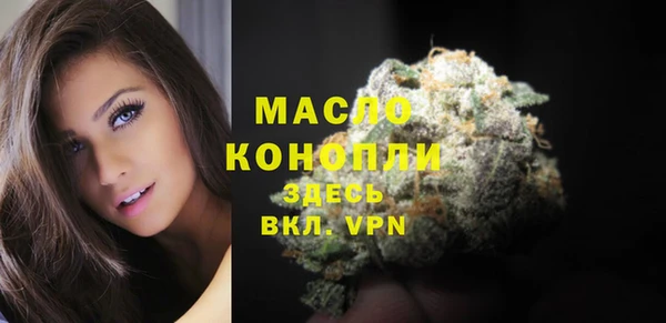 дживик Арсеньев