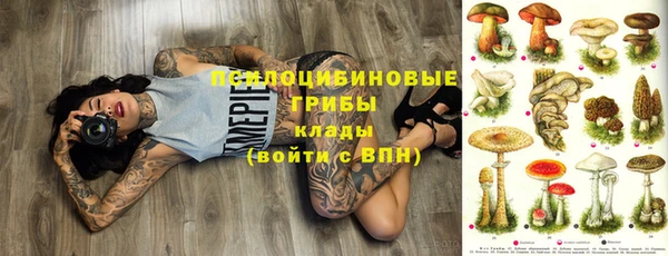 дживик Арсеньев