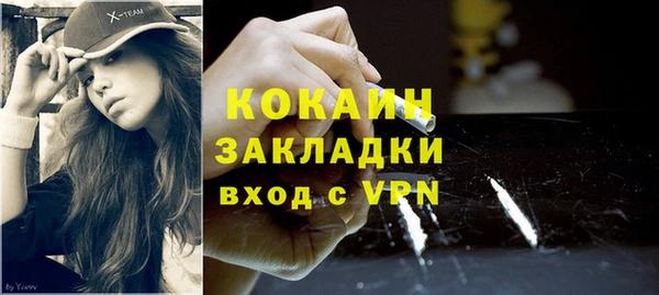 дживик Арсеньев